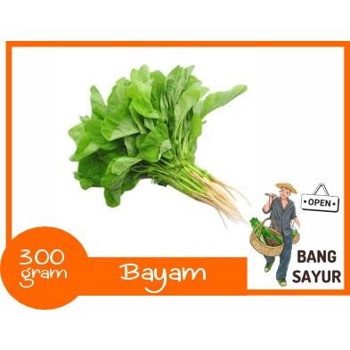 

KIRIM INSTAN Bayam 300 gram