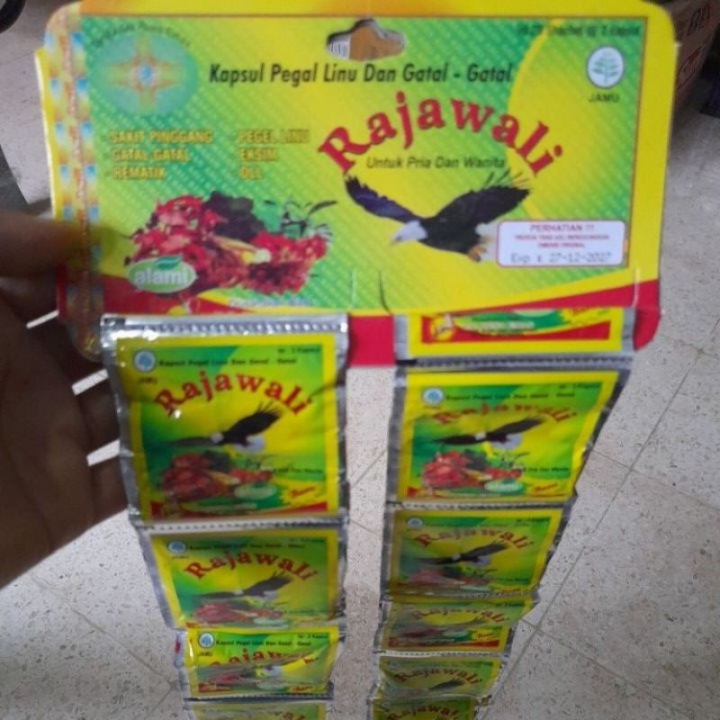KAPSUL RAJAWALI GATAL EKSIM EXIM HERBAL ASAM URAT PEGAL LINU PENGAPURAN TULANG
