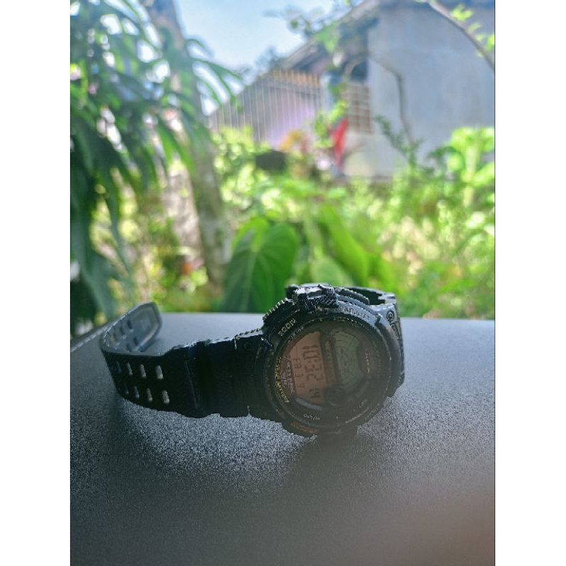 Casio ws 1200h