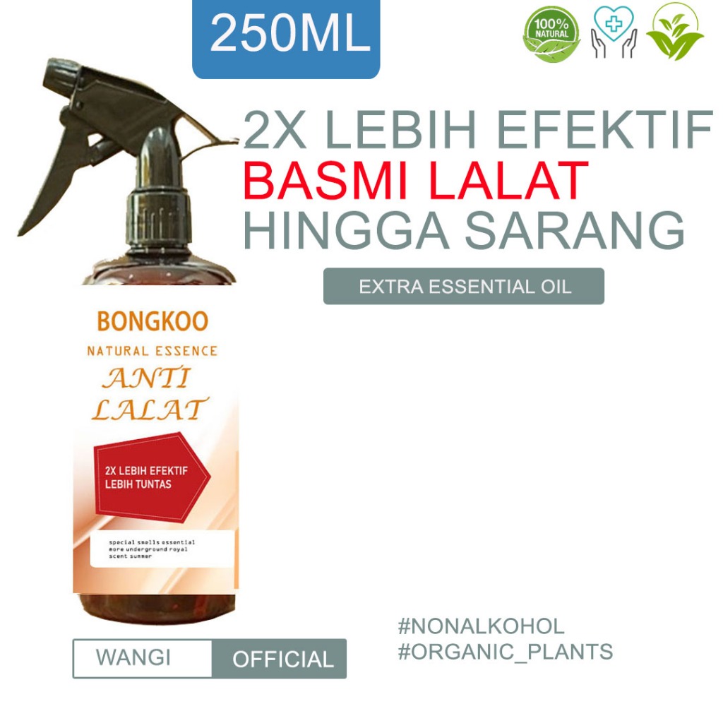 Pengusir Lalat Ampuh Di Rumah Racun Lalat Pengusir Lalat Obat Lalat Bongkoo