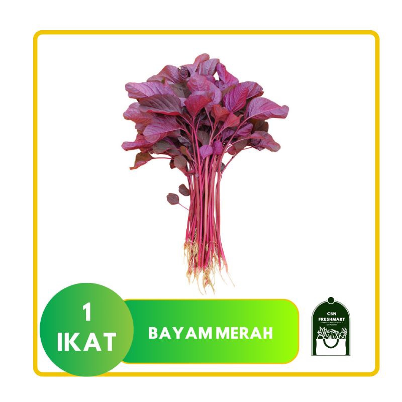 

BAYAM MERAH 1 IKAT FRESH [-+150G]