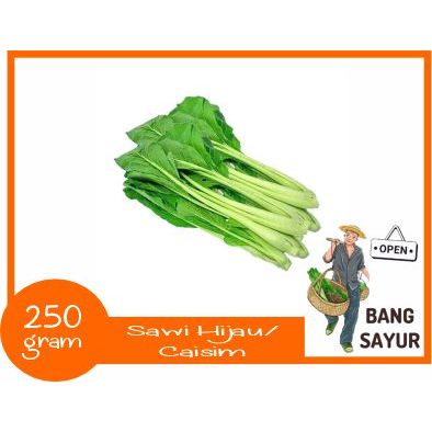 

KIRIM INSTAN Sawi Hijau/Caisim 250 gram