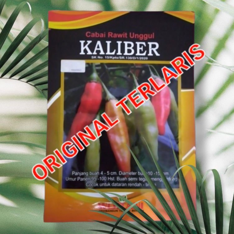 Toko Spesial Benih Cabe Rawit Kaliber cabai kaliber 1 Gr kemasan pabrik original
