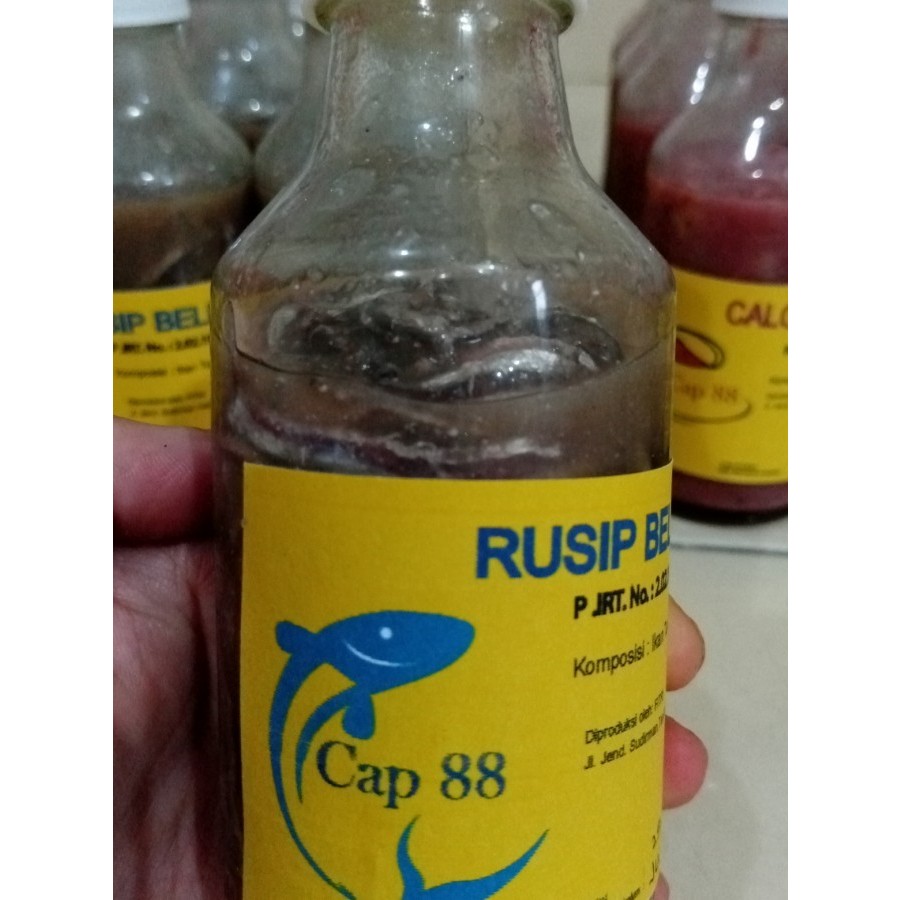 

Rusip Belitung Cap 88