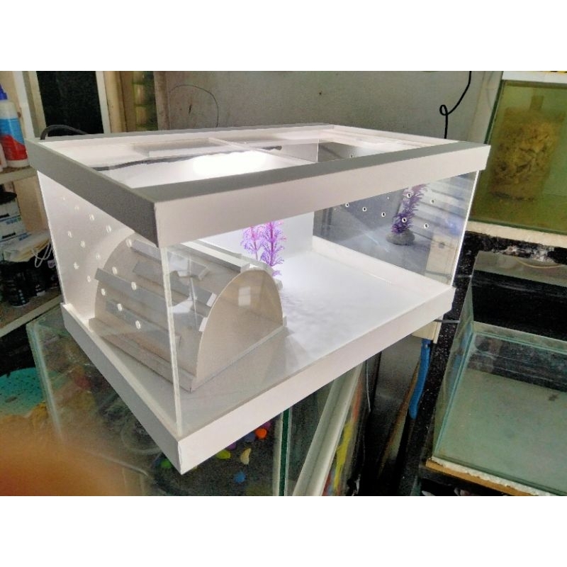 TERARIUM REPTIL Kandang Reptil akrilik dan pvc board pintu atas ukuran 30*20*15