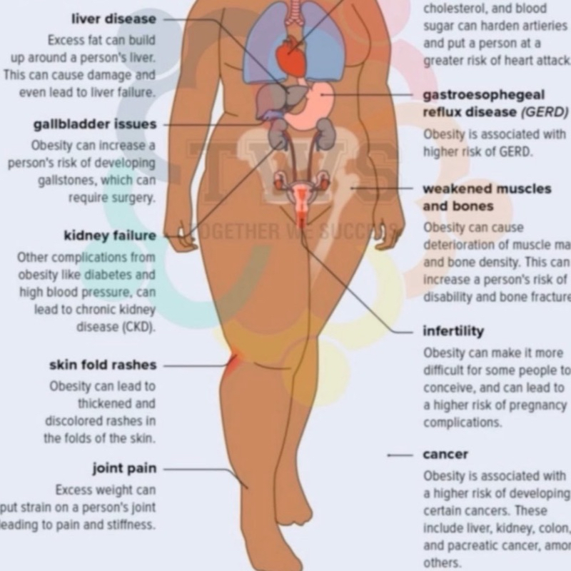 Fatloss Program 90 hari