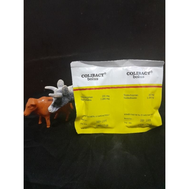 Colibact bolus