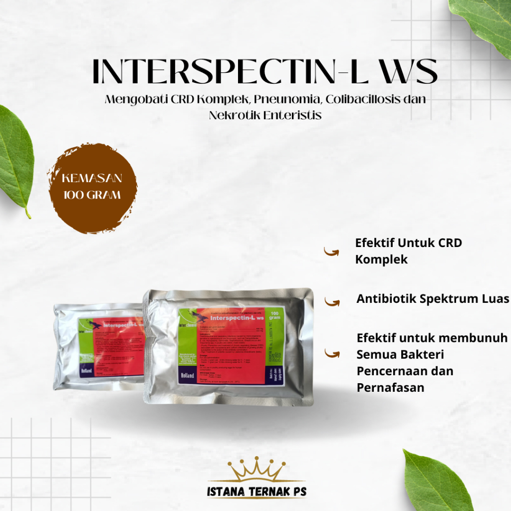 Interspectin L WS 100 gram Original. Obat CRD Kompleks/Ngorok/Cekrek pada Unggas
