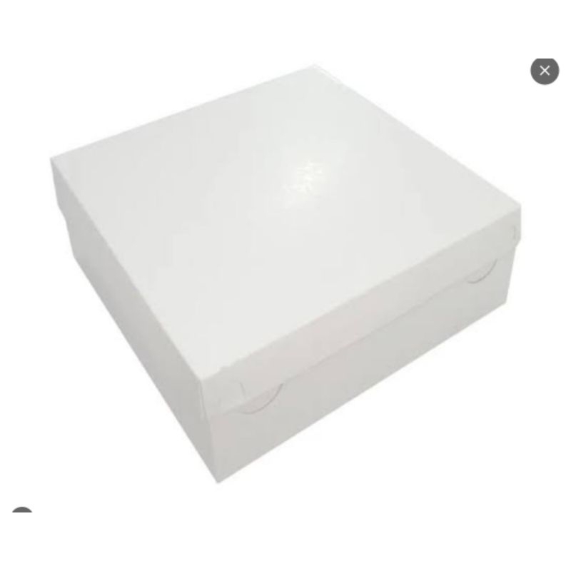 kotak nasi putih ukuran 20x20
