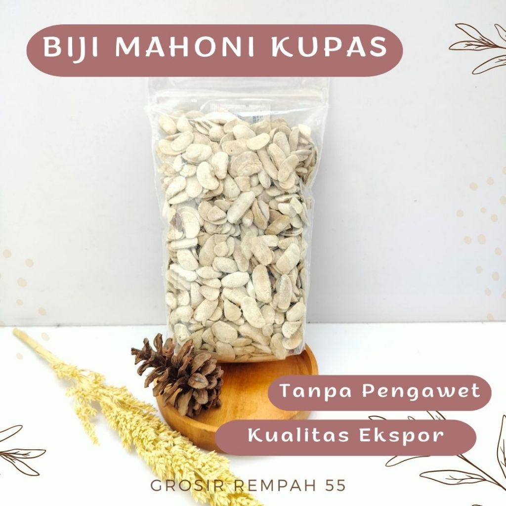 

BIJI MAHONI KUPAS GRADE A