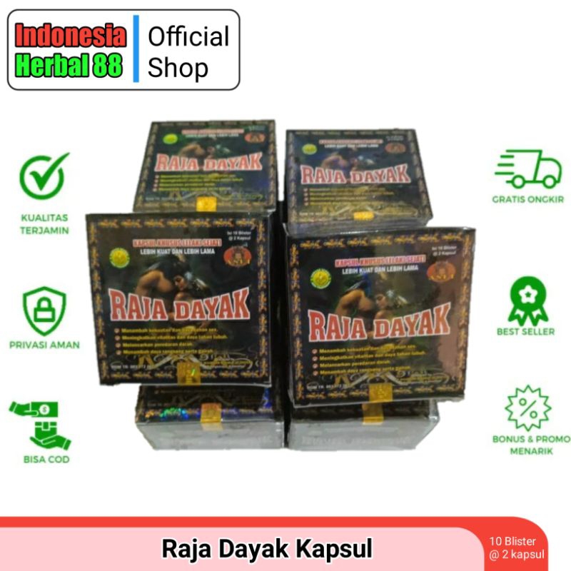 RAJA DAYAK KAPSUL ISI 10 SACHET KHUSUS PRIA LELAKI