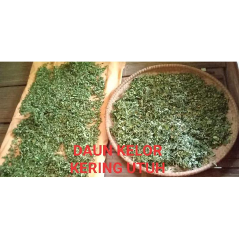 

DAUN KELOR KERING UTUH