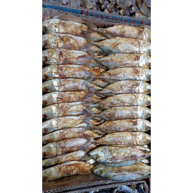 

Ikan Peda Merah