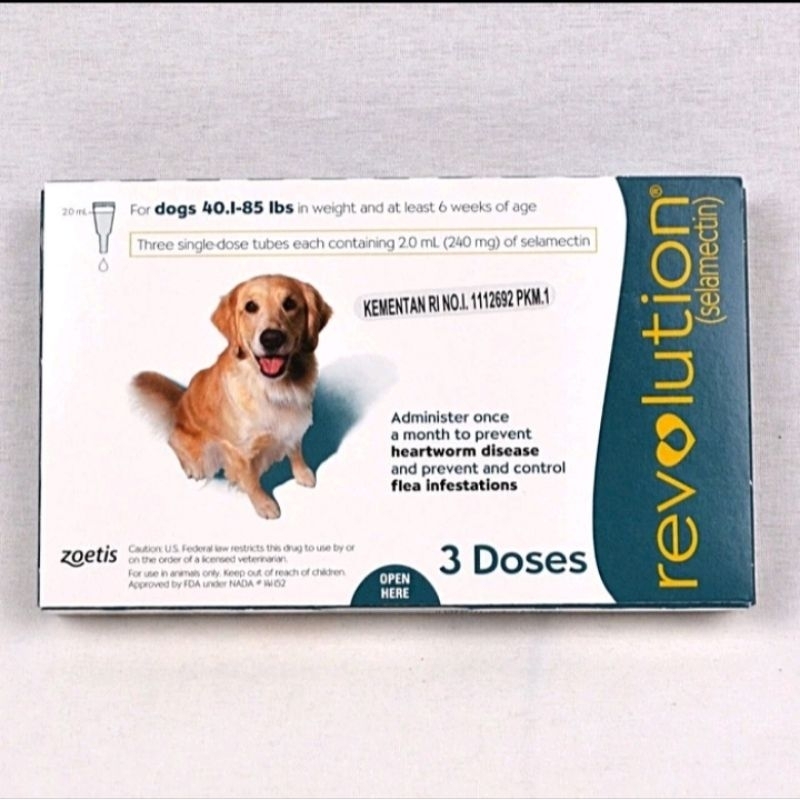 Revolution Teal Dog 1Pcs