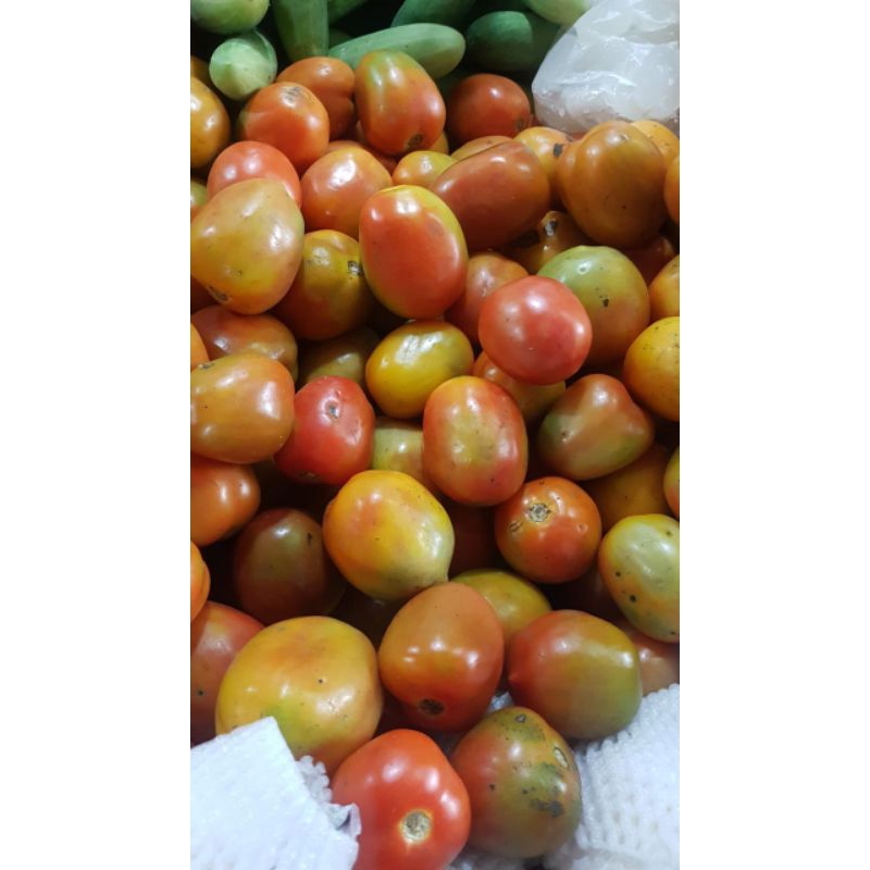 

Tomat Segar (500g)