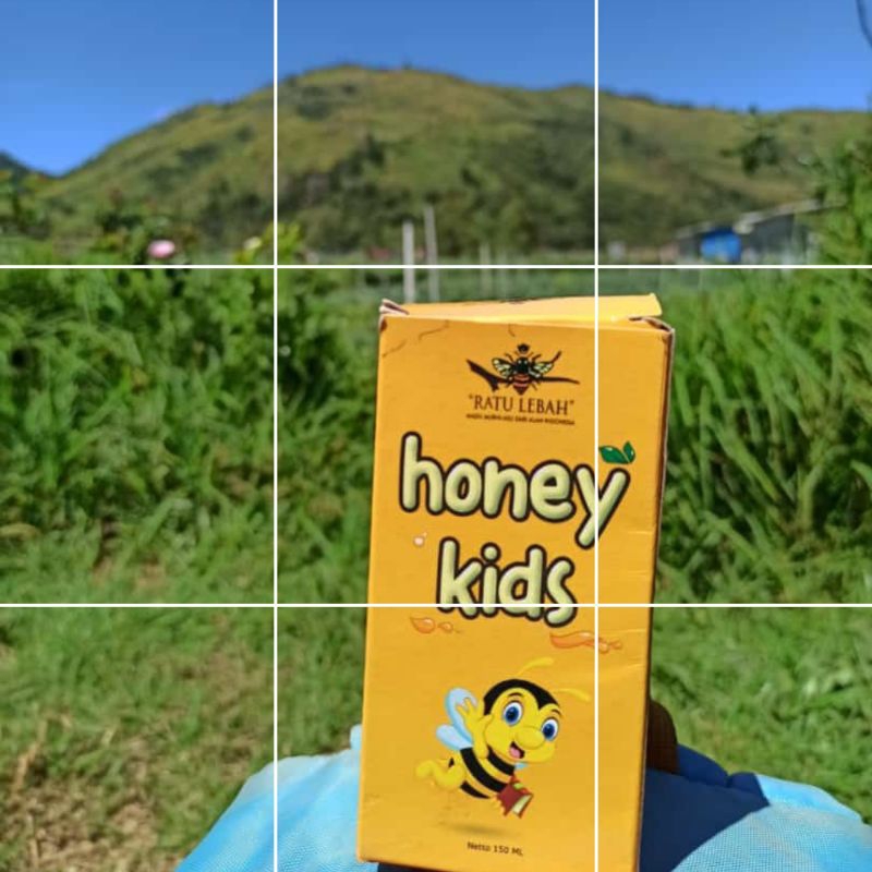 

MADU ANAK | HONEY KIDS | MADU HERBAL ANAK | PENAMBAH NAFSU MAKAN ANAK | MADU HERBAL | HERBAL ANAK | MADU ASLI | MADU PROPOLIS