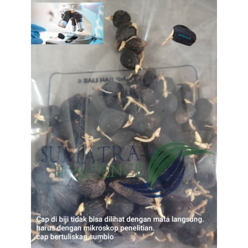 

LONSUM BAH LIAS 4 bersertifikat