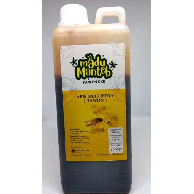 

madu hitam mellifera alam liar