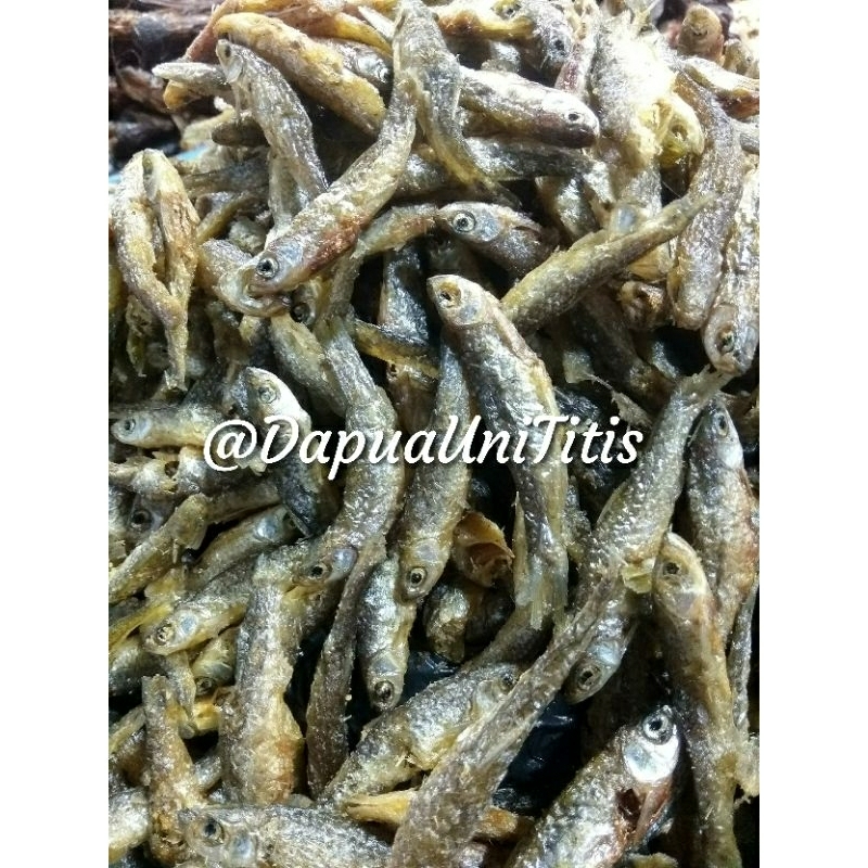 

Ikan Bilis Danau PREMIUM/ikan asin - Berat 100gr