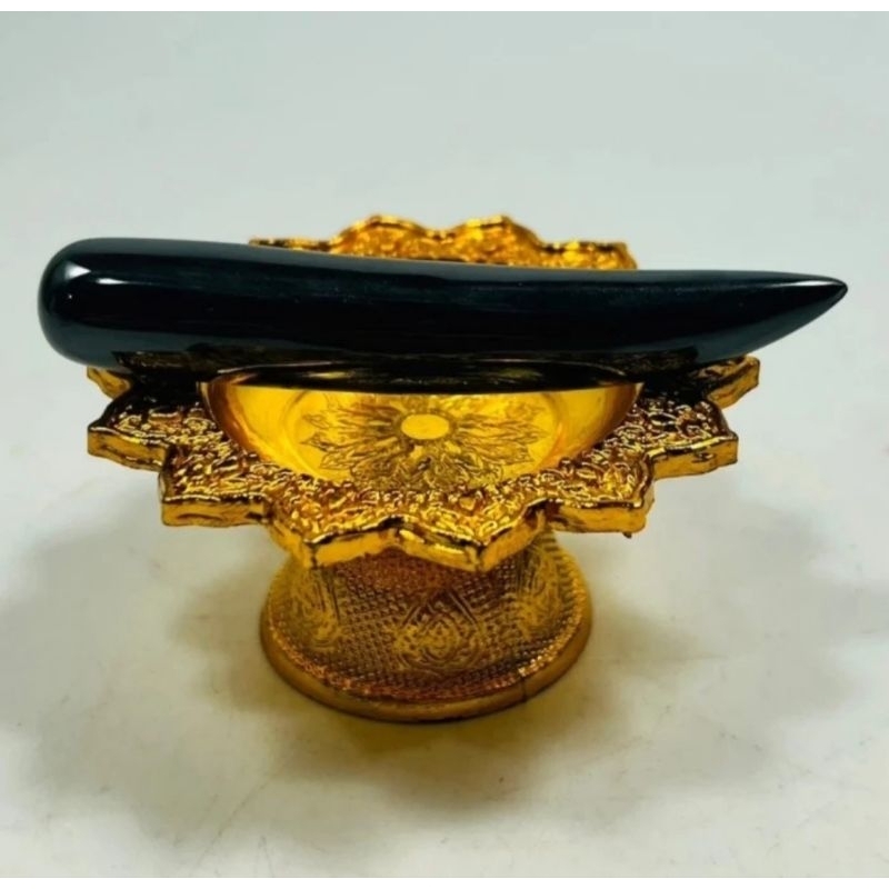 Black fang leklai kod pee cave mountain laos natural