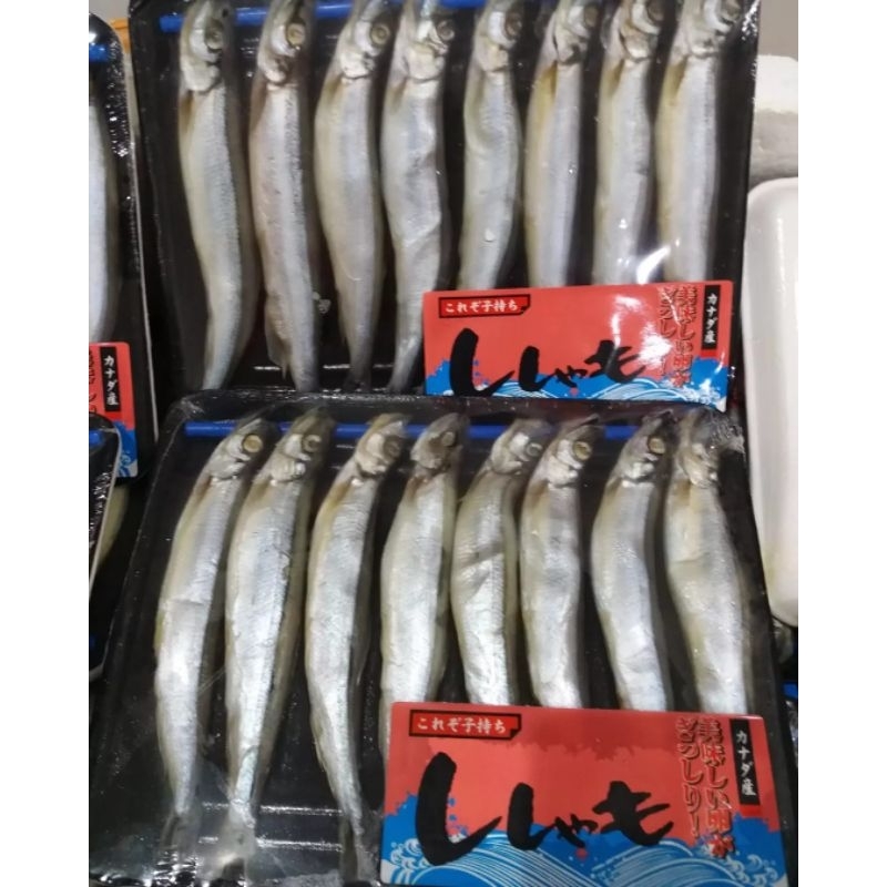 

Shisamo Fish atau Ikan capelin