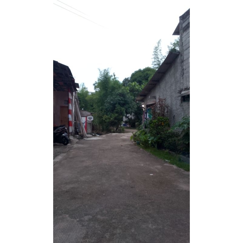 1male Avatar (line nebula)