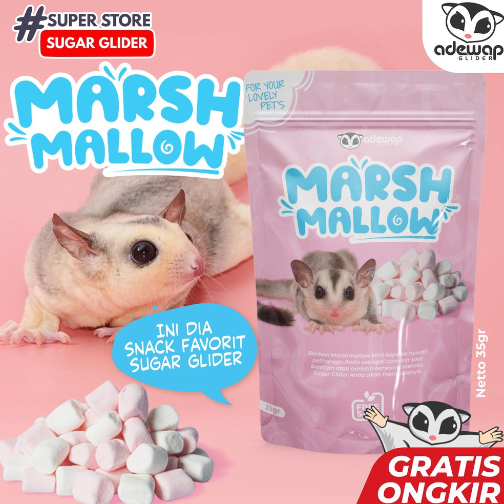 MEN SALE Mini Marshmallow Snack Sugar Glider Murah  Makanan Sugar Glider Hewan  Cemilan Sugar Glider