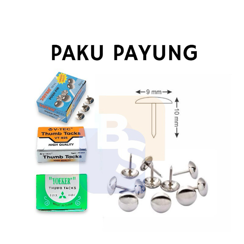 

Paku Payung - Paku Pines