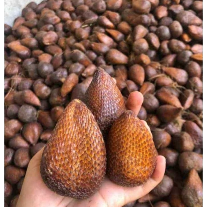 

Salak Pondoh 1 kg
