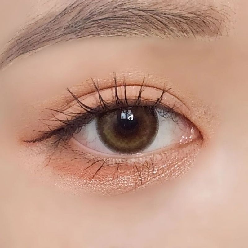 Softlens eyesm dollring anne brown