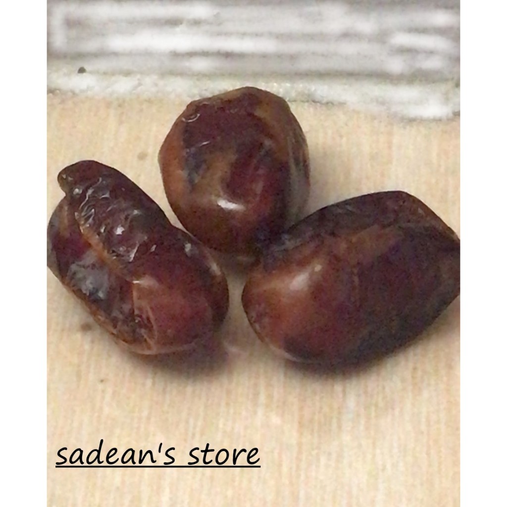 

TAKJIL RAMADHAN paket kurma khalas uni emirat arab