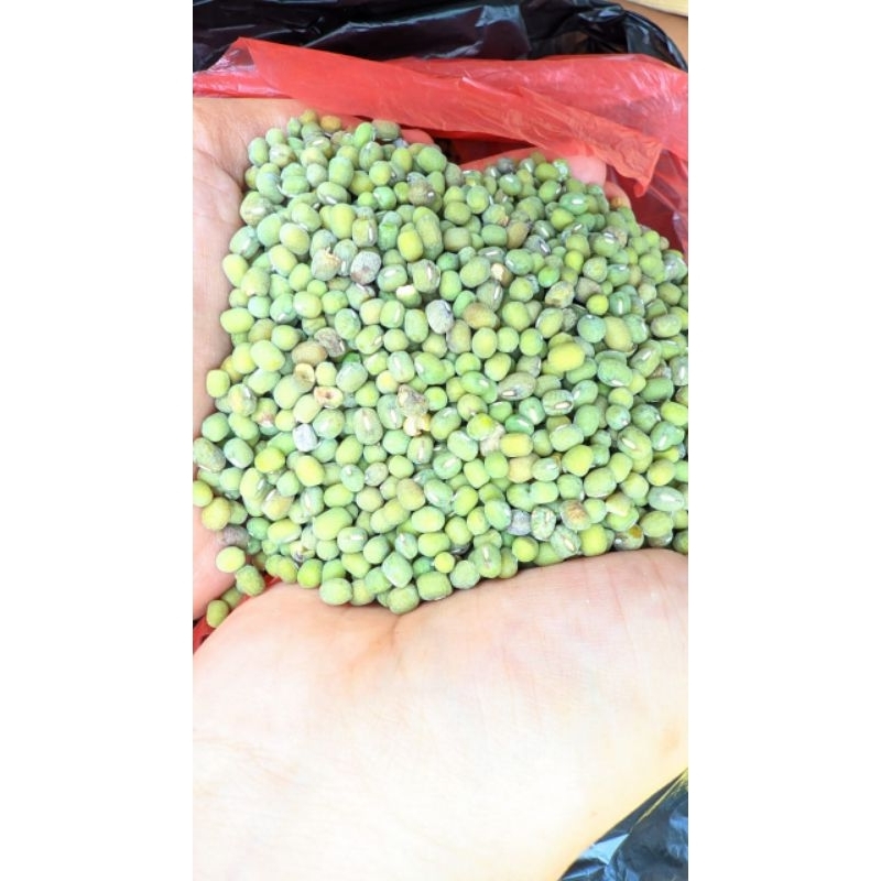 

Kacang Hijau / kacang ijo berkualitas super 500gram Termurah