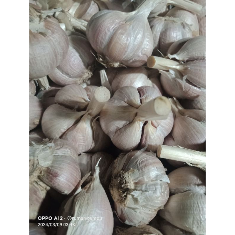 

Bawang Putih kating 1kg