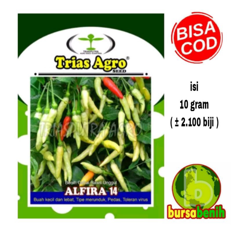 Benih bibit cabe rawit putih merunduk ALFIRA 14 isi 10gr.