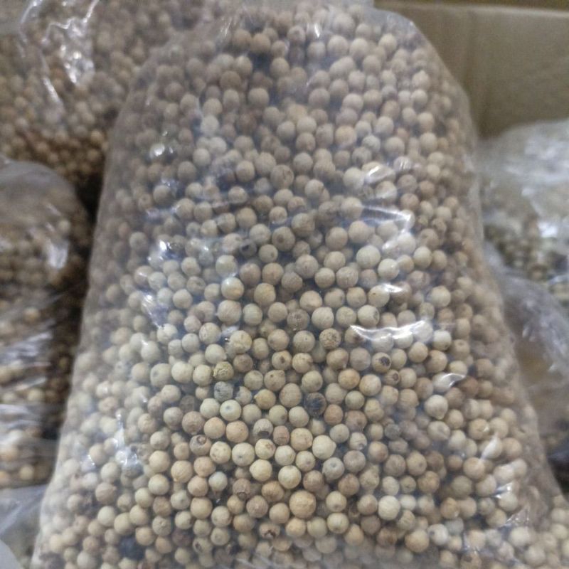 

Lada Putih / Lada Putih Butir / Bersih Pilihan / Merica Butir / Rempah / Kualitas Terbaik 1 KG