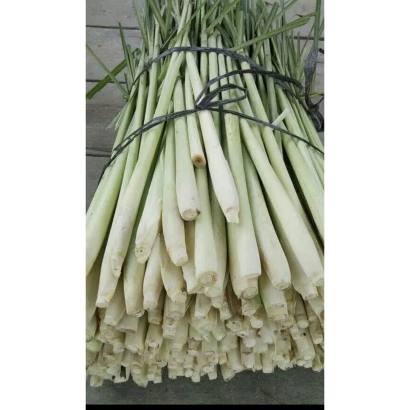

sereh segar serai bumbu dapur 250grm