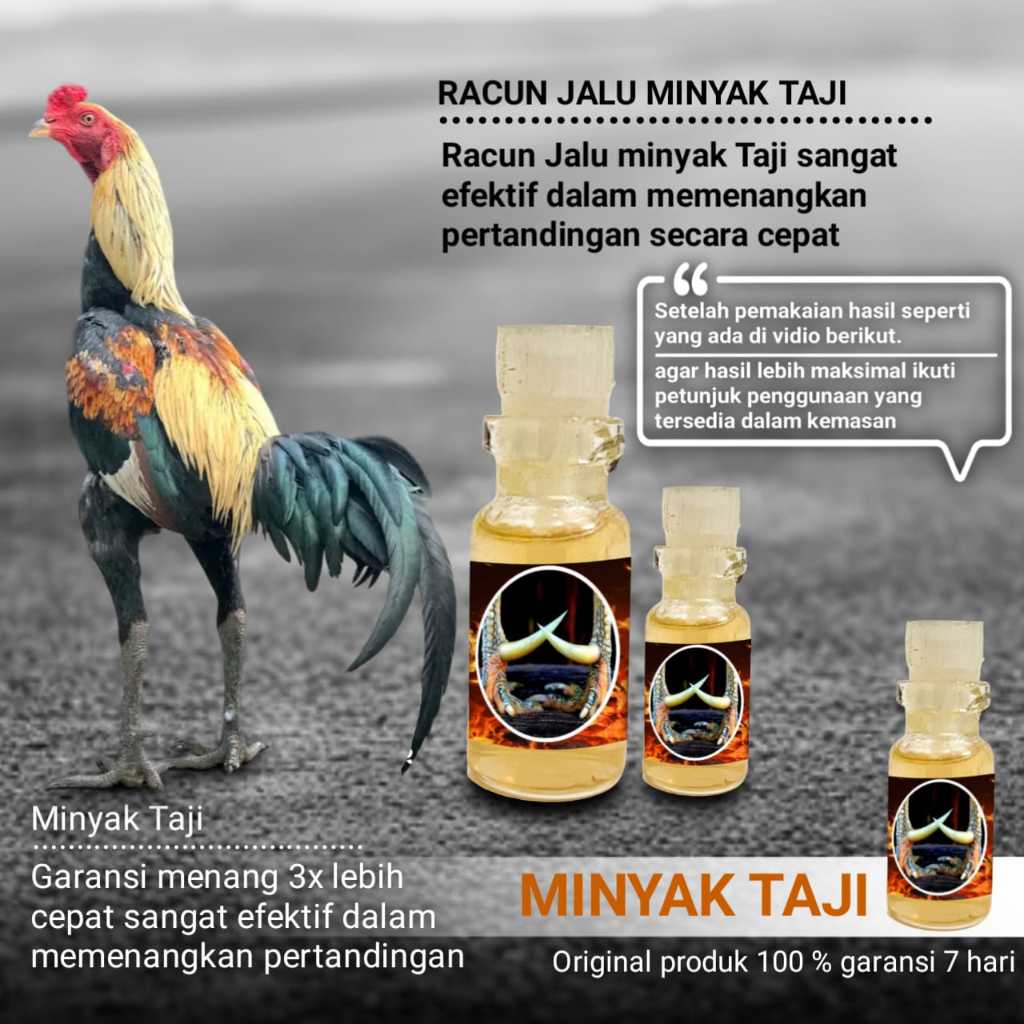 racun jalu ayam bangkok asli pakhoy vitamin jago minyak taji
