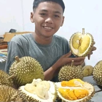 

Durian Superan Paket Hemat 300 ribu