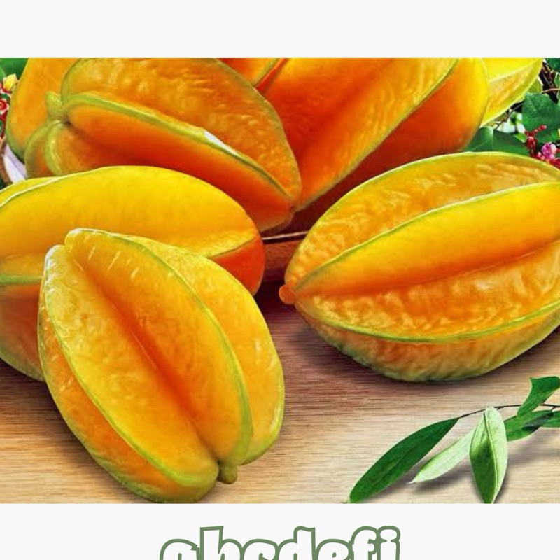 Bibit Belimbing Madu Jumbo Sudah Berbunga dan Berbuah