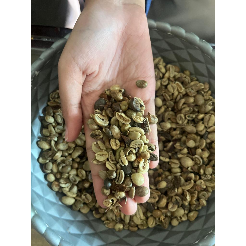

Kopi Asalan khas Banaran 1 kg