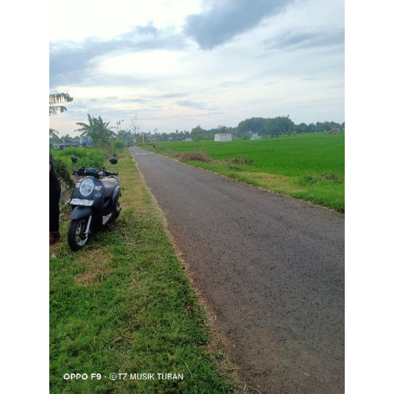 efek gitar Boss Rv3 Digital reverb/Delay pink label