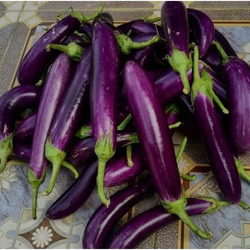 

Syegar Fresh terong ungu 500 gr