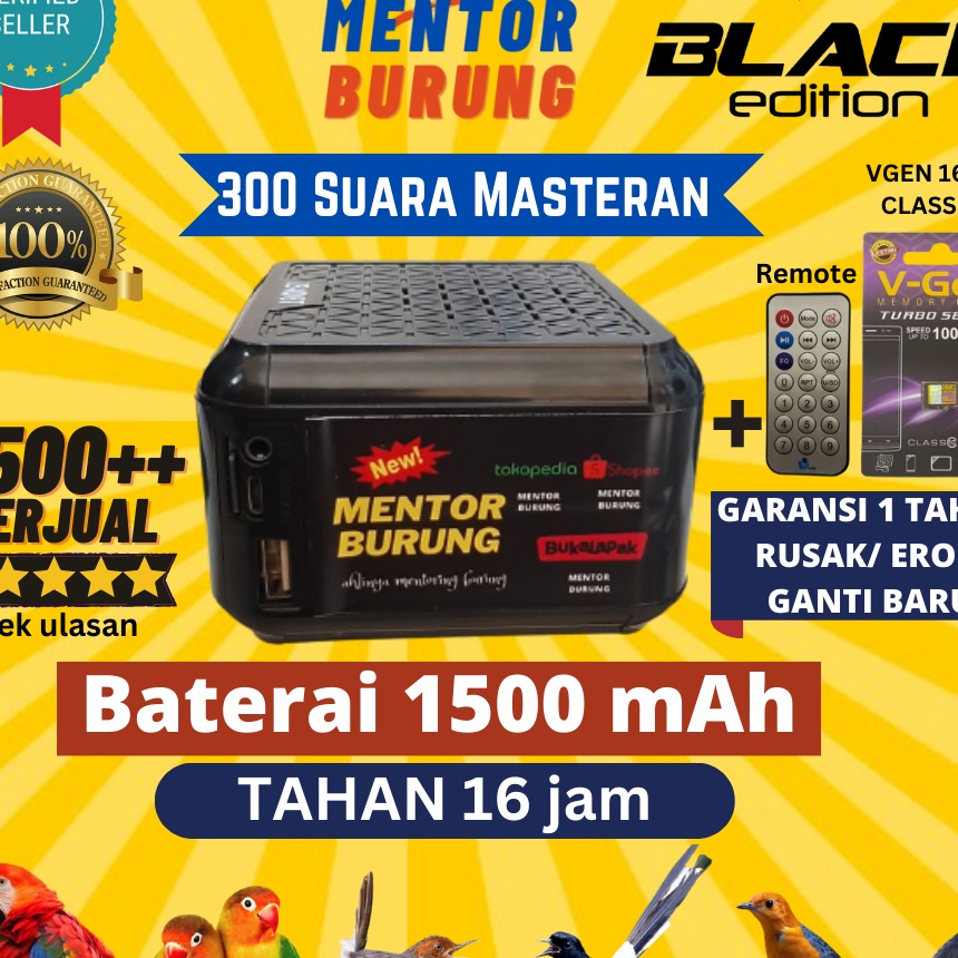 Tren Terkini Masteran Burung Kicau Gantangan Mentor Burung Murai Cici Love Bird Gelatik Kacer Murai 