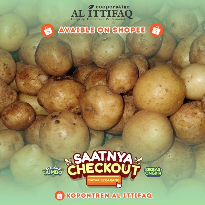 

Kentang Rendang/Baby Potato Sayuran Segar 1kg Murah Berkualitas Terbaik Kopontren Al Ittifaq Bandung