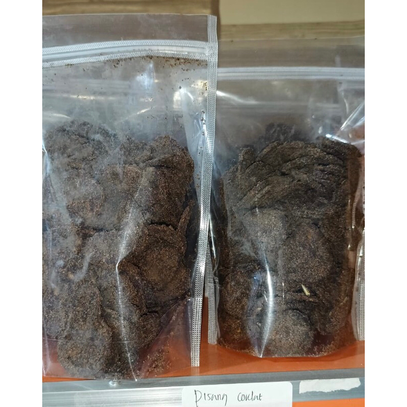 

PISANGCOKLAT