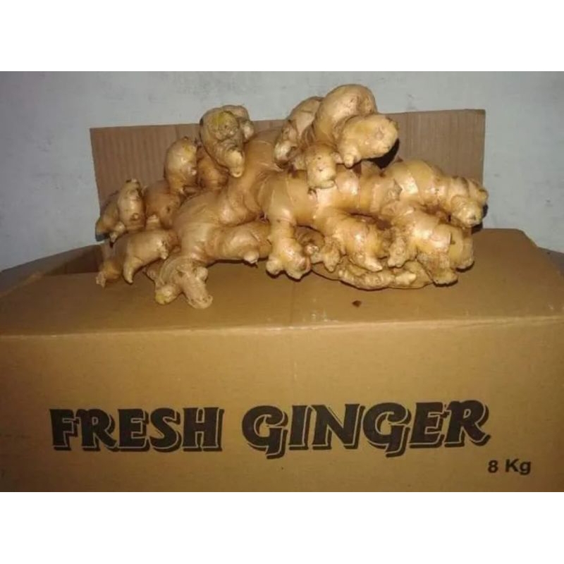JAHE EMPRIT 8KG FRESH CUCI BERSIH RIMPANG UTUH