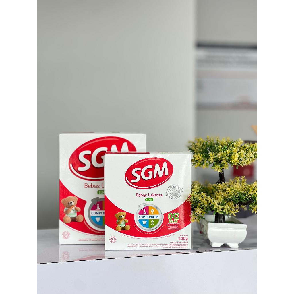 SGM LLM