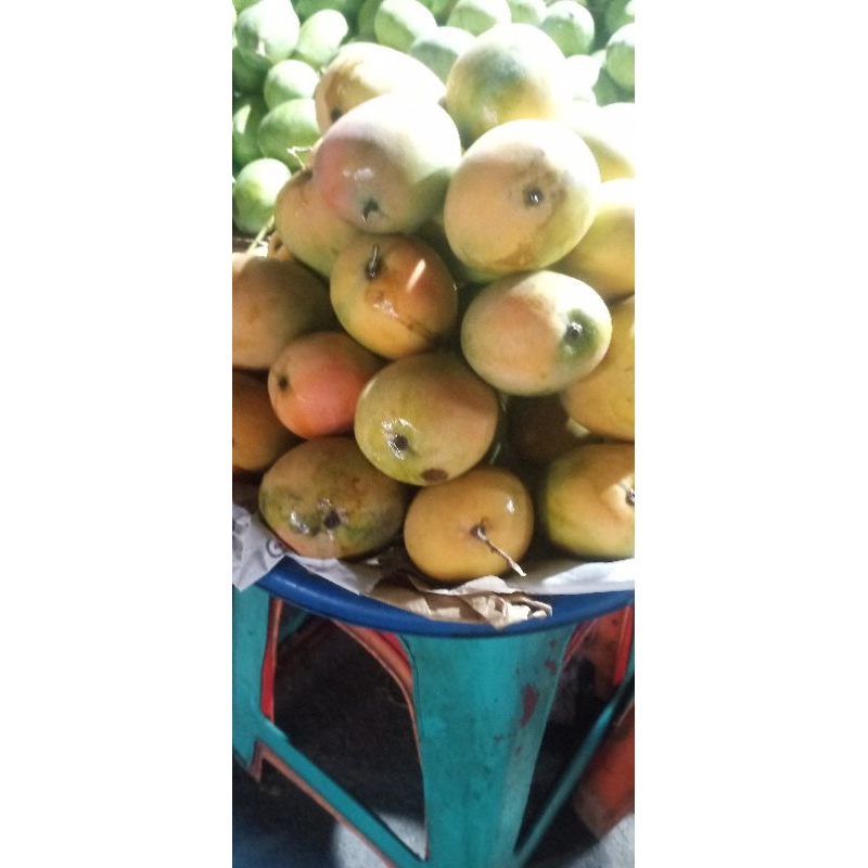 

MANGGA GEDONG FRESS MANIS1kg