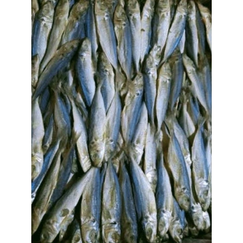 

Ikan Asin Layang Madura Sampang | Kemasan 500 gram