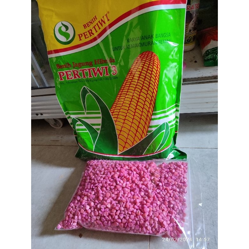 benih jagung Pertiwi 3 eceran 1kg  dari kemasan 5kg original